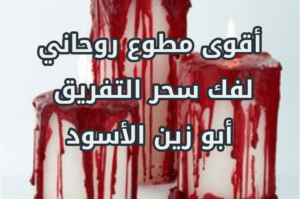 كيف أجعل زوجي يعشقني ويغرق في حبي شيخ ابو زين